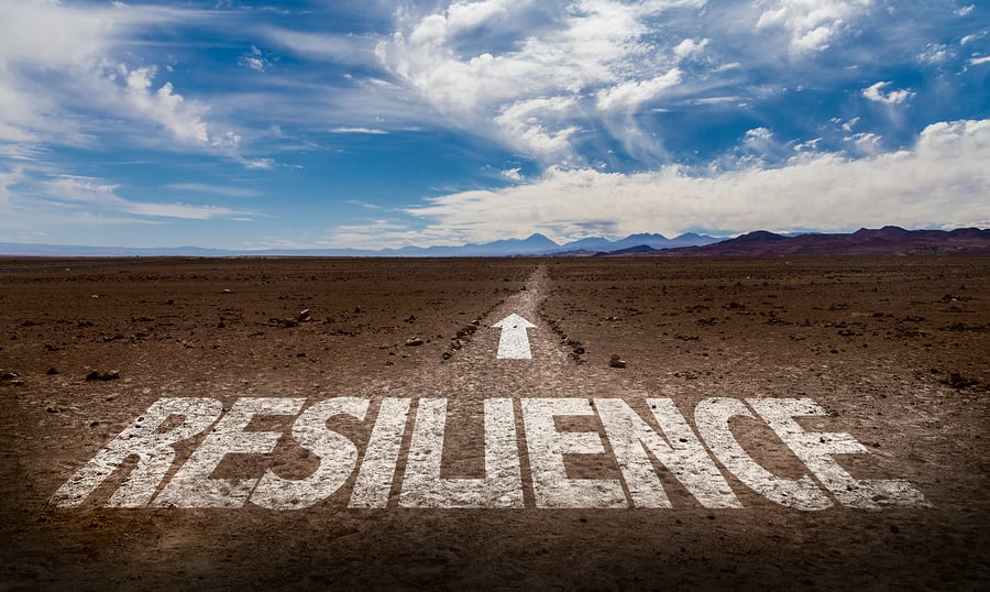Resilience written on desert road